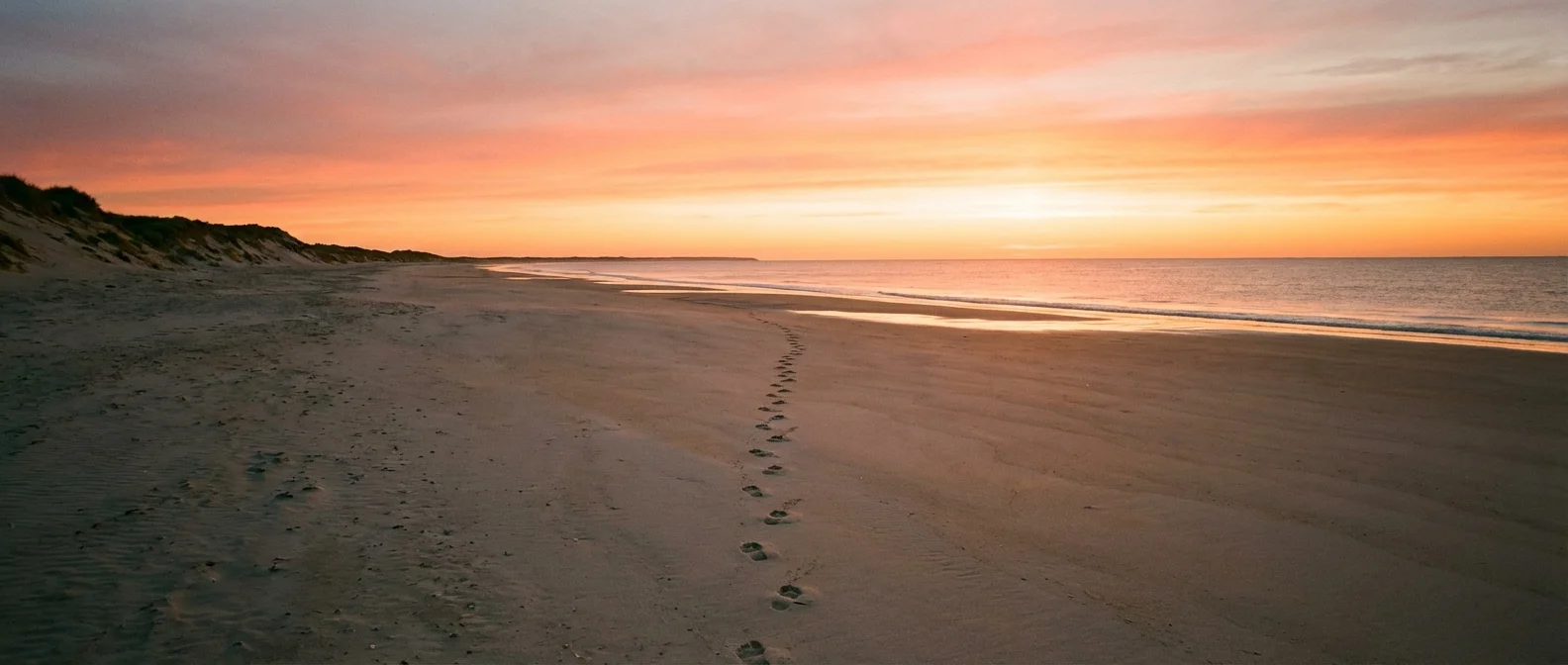 A flat-lay of a wedding calendar and fabric swatches, representing the early stages of planning.