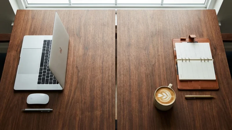 A professional woman working at a bright, organized home office desk with a laptop and a plant.